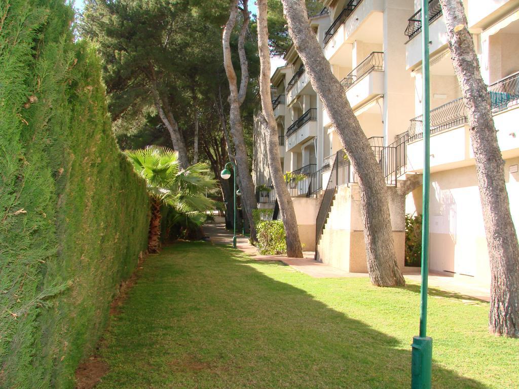 Playamar Altamar Apartments Alcoceber Номер фото